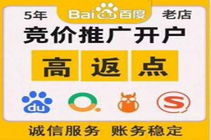 百度推广排名实战：一家小企业的逆袭之路